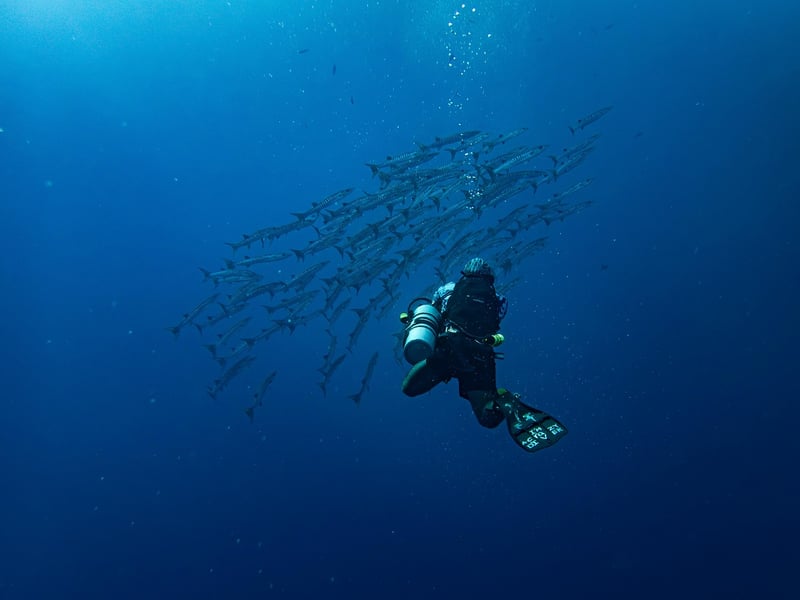 Snorkeling Adventures